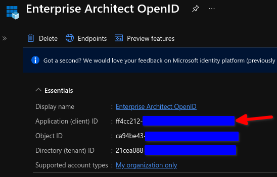 Details of the App Registration in Azure